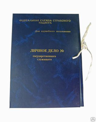Папка личное дело в бумвиниле, обложка личного дела, корочка личного ...
