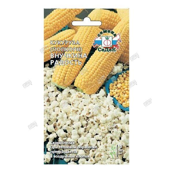 Семена кукуруза Внучкина радость (попкорн) х5г