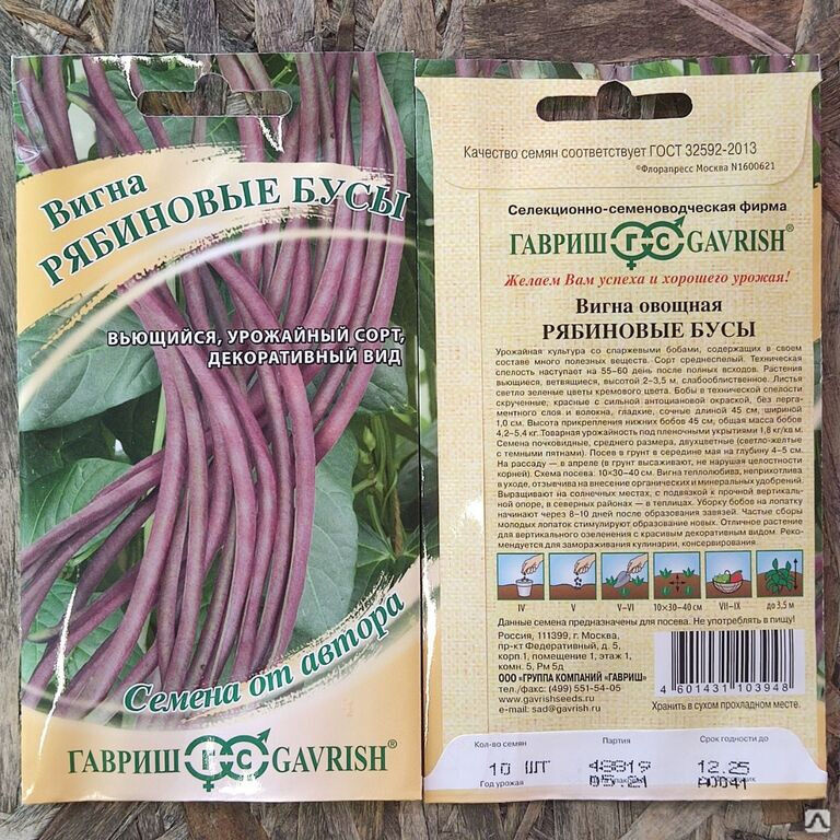 Купить Семена Вигны В Интернет Магазине