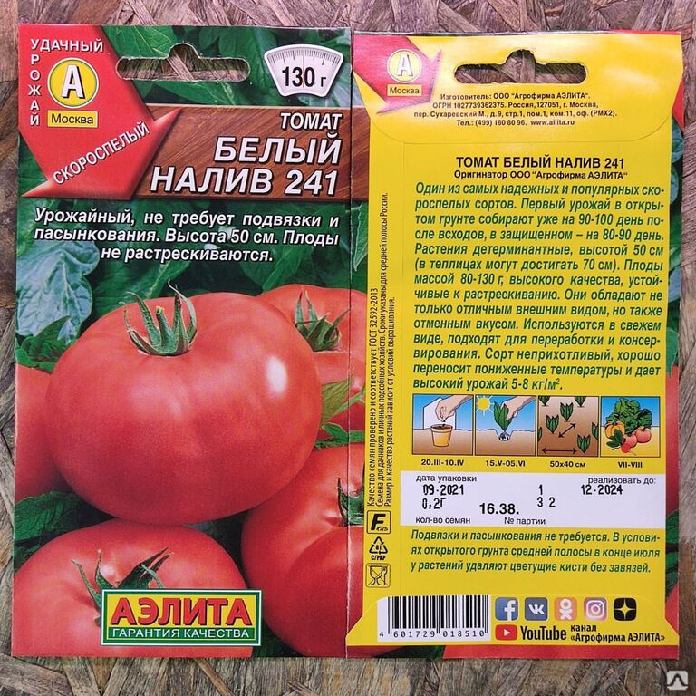 Семена томат белый налив. Томат белый налив 241 фото урожайность характеристика