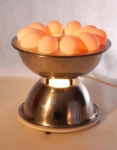 Прибор для определения качества яиц «Овоскоп Люкс» СТК