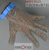 Перчатка кольчужная пятипалая с синим ремешком EUROFLEX, арт. 9590, размер L (№4). #2