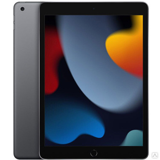 Планшет Apple iPad (2021) 256Gb Wi-Fi Space Gray #1